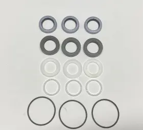 Ar2874 Annovi Reverberi Water Seal Kit For Sxw Pumps
