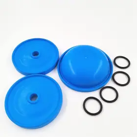 Brgmax 716837945970 Diaphragm Pump Repair Kit Fits For Hypro D30 Rebuild 9910-kit1724 99