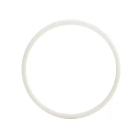 104361 Graco 633955480537 Teflon O-ring For Filter Housing Base