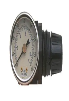 Rg-4049 Motor Guard - R262 Mini Regulator Gauge Rg4049 One Size