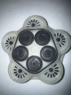 788015 North Star Valve Plate Assembly Northstar Sprayer