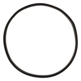 Ptg20 Tcp Global 5 Gallon Paint Pressure Tank Lid Replacement Rubber Gasket Seal