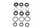 AR2189 Pump Seal/packing Kit Fits Rsv 3G25 4G30 4G35 4G40 3G35 3.5G35 3G30 New. Price: $64.99.