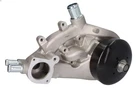 Dnj WP3169 Water Pump For Cadillac Escalade 2009-2014 Nuovo. Price: $352.12.