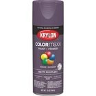Colormaxx Spray Paint, Eggplant, Matte, 12-OZ, K05594007 New. Price: $12.99.