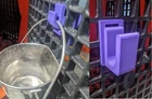 Door Mounted Leash/collar Hook With Water Pail For Ruffland Kennels New. Price: $15.00.