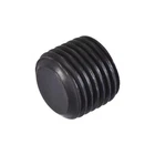 Uxcell Carbon Steel Internal Hex Thread Socket Pipe Plug, M10X1, Black New. Price: $14.76.