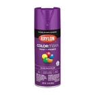 Krylon K05536007 Colormaxx Spray Paint And 12 Ounce (pack Of 1), Rich Plum New. Price: $8.09.